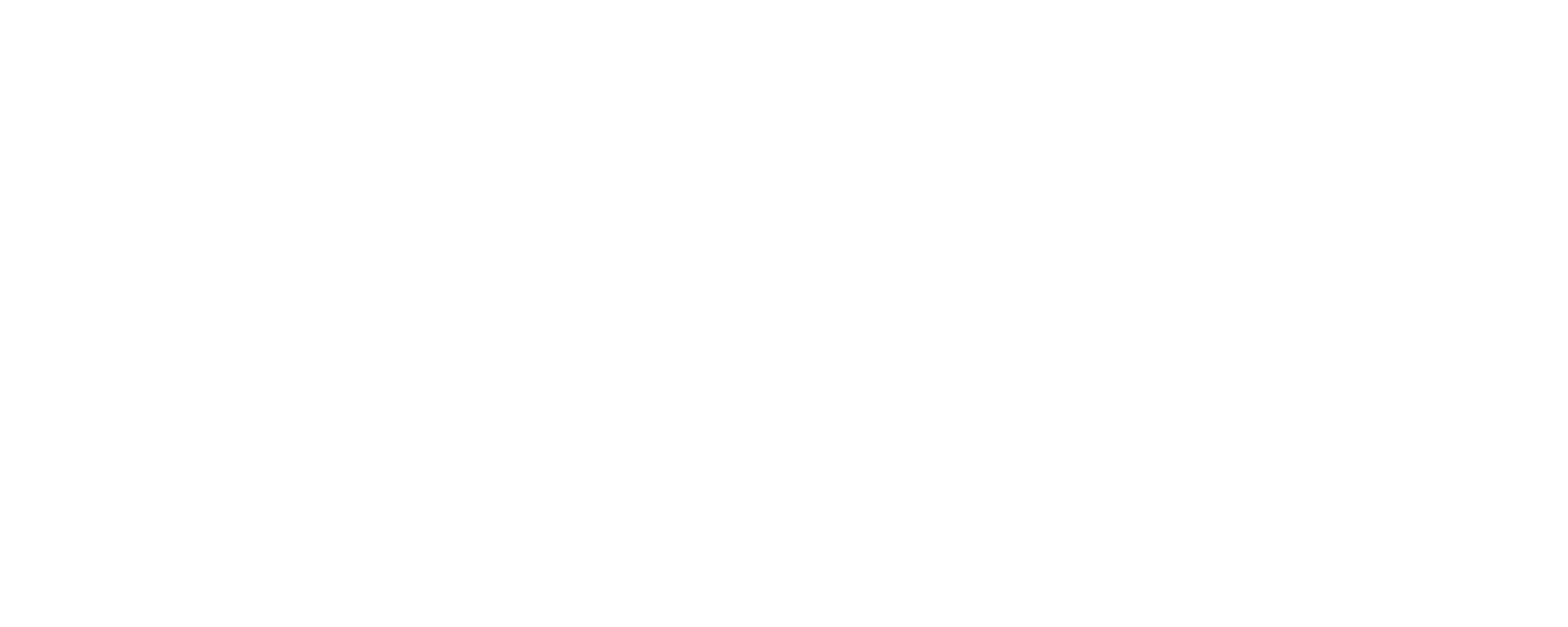 Wight Fibre logo